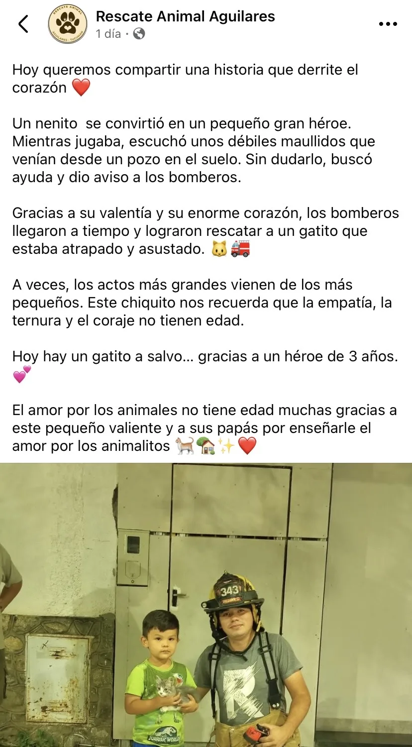 260406115357_27867.jpeg