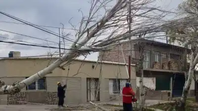 Viento Zonda en Mendoza: Las Heras, la zona más afectada con 59 emergencias