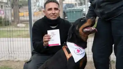 De la desnutrición al hogar: la perrita rescatada en un allanamiento en Godoy Cruz ya tiene familia