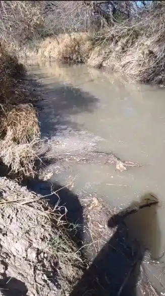 Denuncian un foco infeccioso en Valle Chico: un río de fluidos cloacales a metros de las viviendas
