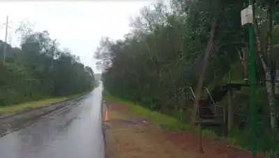 Los nuevos guardianes de la selva: quiénes quedaron al frente de los parques Moconá, Urugua-í y Salto Encantado