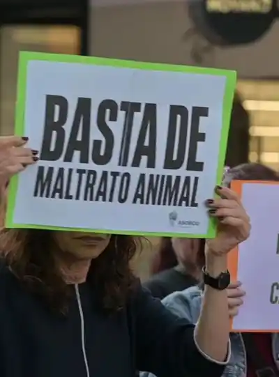 El grito de los que no tienen voz: San Luis marchó contra el maltrato animal