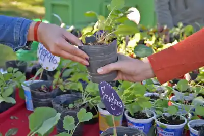 Ecocanjes en Marull: llevá tus residuos y volvé con premios