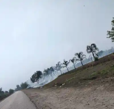 Interpueblos de Monteros: “El humo complicó la visibilidad en las rutas”