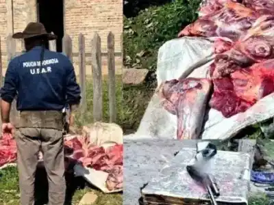 El rastro de sangre que delató a los cuatreros en Palo Santo