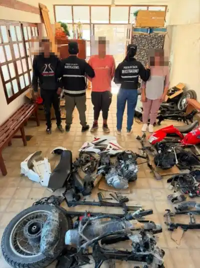 Un camión con 15 bultos de motopartes y una excusa que no convenció a nadie: la policía encontró algo inesperado en Salvador Mazza