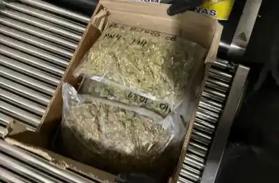 El hallazgo que escondía un auto en la Ruta 40 y la decisión que sorprendió a la Justicia