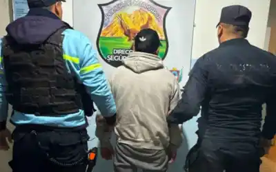 Chofer de micro con pedido de captura por abuso sexual fue atrapado en un control de rutina