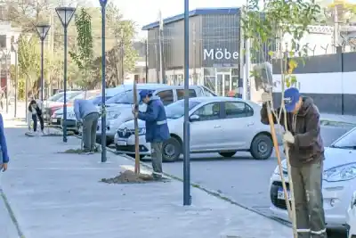El plan verde que ya transformó once barrios y ahora llega a Congreso