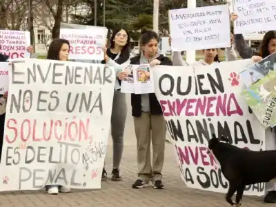 El insólito rastro que dejó un carnicero acusado de envenenar perros en Bolívar