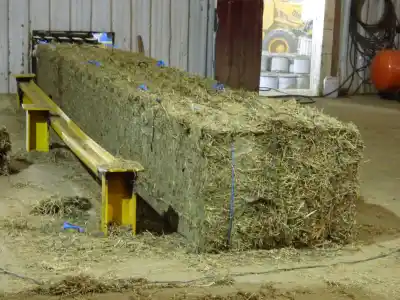 San Luis movilizó más de 8.000 toneladas de maíz y alfalfa en sus nodos logísticos