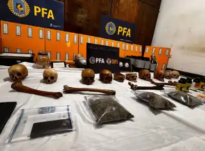 Hallazgo macabro en Córdoba: entre plantas de marihuana encontraron una colección de cráneos humanos