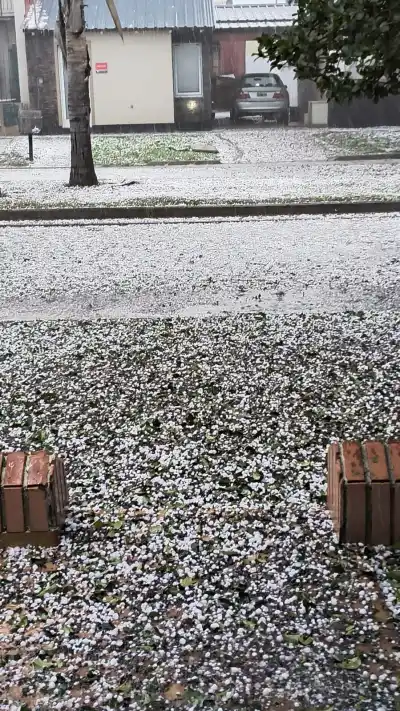 Granizada inesperada cubrió de blanco a tres localidades del departamento Marcos Juárez