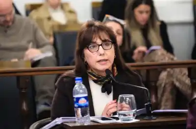 Gladys Domínguez contra su expulsión del PJ: “Pensar distinto no es traicionar”