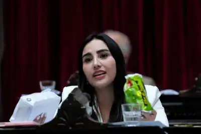 Media sanción en Diputados: buscan que la fécula de mandioca pague el mismo IVA que la harina de trigo