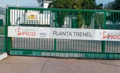Denuncian que los anteriores dueños del Frigorífico Pico desviaron $16.500 millones a una empresa de la familia