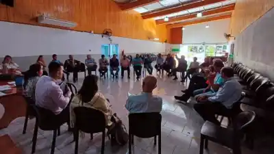 Zafra tealera 2026-2027: el kilo de hoja se pagará $110 y habrá un paquete de medidas de apoyo