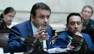 La UCR de Misiones no acompañó la baja del IVA a la mandioca: el dato político que dejó la media sanción