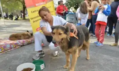 El grupo que cuida a los perros durante el Milagro pide cintas y alimento