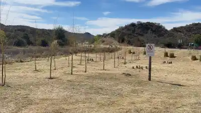 Más de 30 árboles del Ecoparque ya lucen en el dique Cruz de Piedra