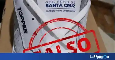 Desmienten que las zapatillas escolares lleven el logo del Gobierno: cuál es el diseño oficial