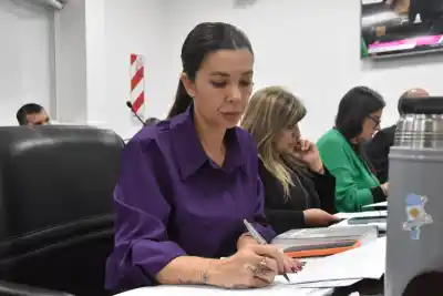Katia Blanc votó la ley de reiterancia, pero advirtió: “La seguridad no se construye solamente con leyes más duras”