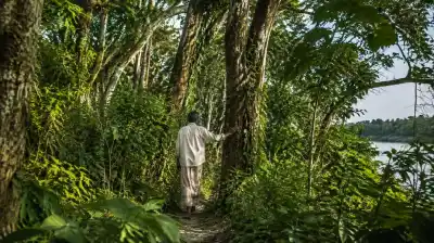 Plantó árboles durante 47 años en una isla de India y creó un bosque más grande que Central Park