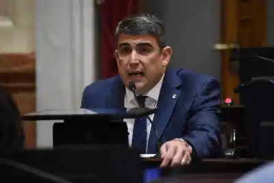 Bensusán al Gobierno nacional: que no desvíe los fondos para discapacidad