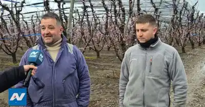 Productores de Tunuyán se preparan ante el alerta por heladas, granizo y viento