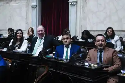 Reducen el IVA a la fécula de mandioca: el alivio que esperaban 10.000 familias de Misiones