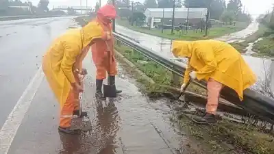 Refuerzan la limpieza de la Autovía 14 ante la llegada de El Niño
