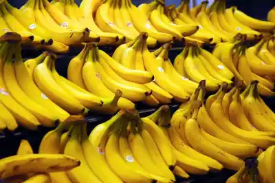 El Senado salteño aprobó un blindaje fitosanitario para la banana y D'Andrea aclaró: "No usurpamos funciones federales"