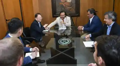 Inversión de US$ 3.000 millones en Salta: el megaproyecto de litio que promete transformar el NOA