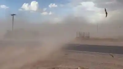 Viento Zonda en Fiambalá: el temporal derribó postes de alta tensión y dejó sin luz a varias localidades