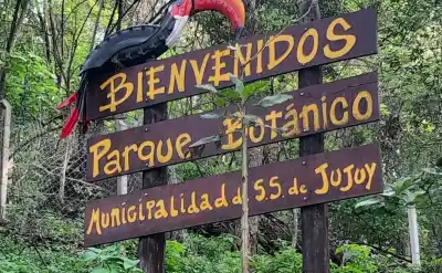 Charla gratuita sobre reptiles en Jujuy: cómo es la actividad que propone el Parque Botánico
