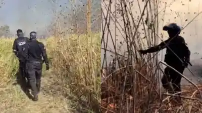 Incendio de pastizales en Alto Comedero: cómo evitaron que las llamas llegaran a las casas