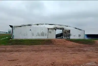 Incendio en un galpón con 40 mil pollos en Colonia Vázquez: qué se sabe hasta ahora