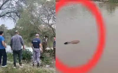 Hallaron muerto a un joven de 21 años en una laguna de General San Martín: dos demorados y una autopsia clave