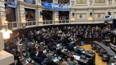 Media sanción a la Ley Ema en Provincia: qué obligaciones sumará para las escuelas