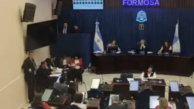 Salud mental en Formosa: la diputada Zaiser impulsa una red de atención y el oficialismo la frenó