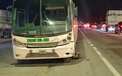 Murió una adolescente de 17 años tras chocar con un colectivo en la Ruta 38: qué pericias ordenó la Justicia