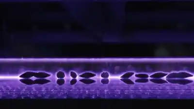 Una startup santafesina usa plasma para tratar semillas: cómo funciona la tecnología que la puso entre las 10 más innovadoras de América latina