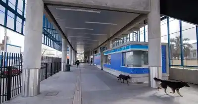 El tren Rosario-Buenos Aires que no llegó a Retiro: el viaje que batió un récord de demora y dejó al descubierto la crisis