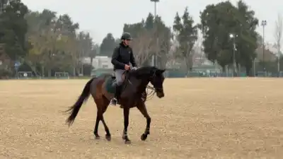 Juegos Suramericanos: el Jockey Club de Rosario será sede de la equitación, con una pista renovada