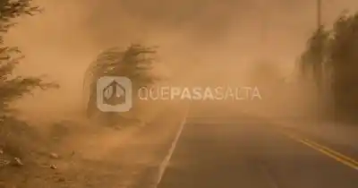Alerta en Salta por vientos de hasta 120 km/h: qué zonas de la Puna serán las más afectadas
