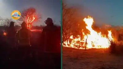 Incendio en Tinogasta: cómo lograron contener el fuego y por qué el viento Zonda mantiene en alerta a los equipos