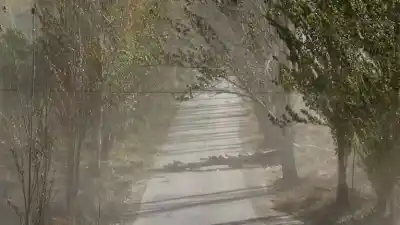 Alerta amarilla por viento Zonda en San Juan: las zonas afectadas y qué se espera para la tarde