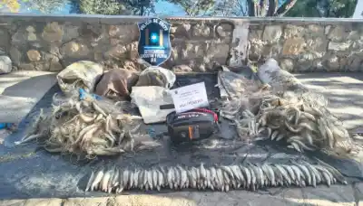 Pesca furtiva en Cabra Corral: cómo hicieron para secuestrar 1.500 pejerreyes en un operativo
