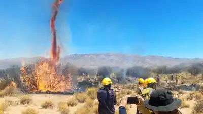 Incendio en Volcán: una familia estuvo en la zona del fuego y ya está fuera de peligro