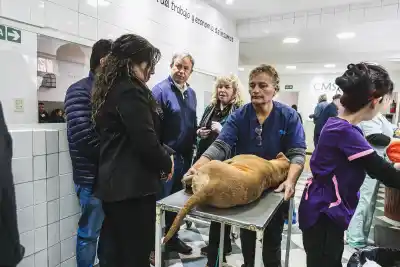 Zoonosis Brown: más de 150 equipos técnicos de todo el país y Latinoamérica se capacitaron en Burzaco